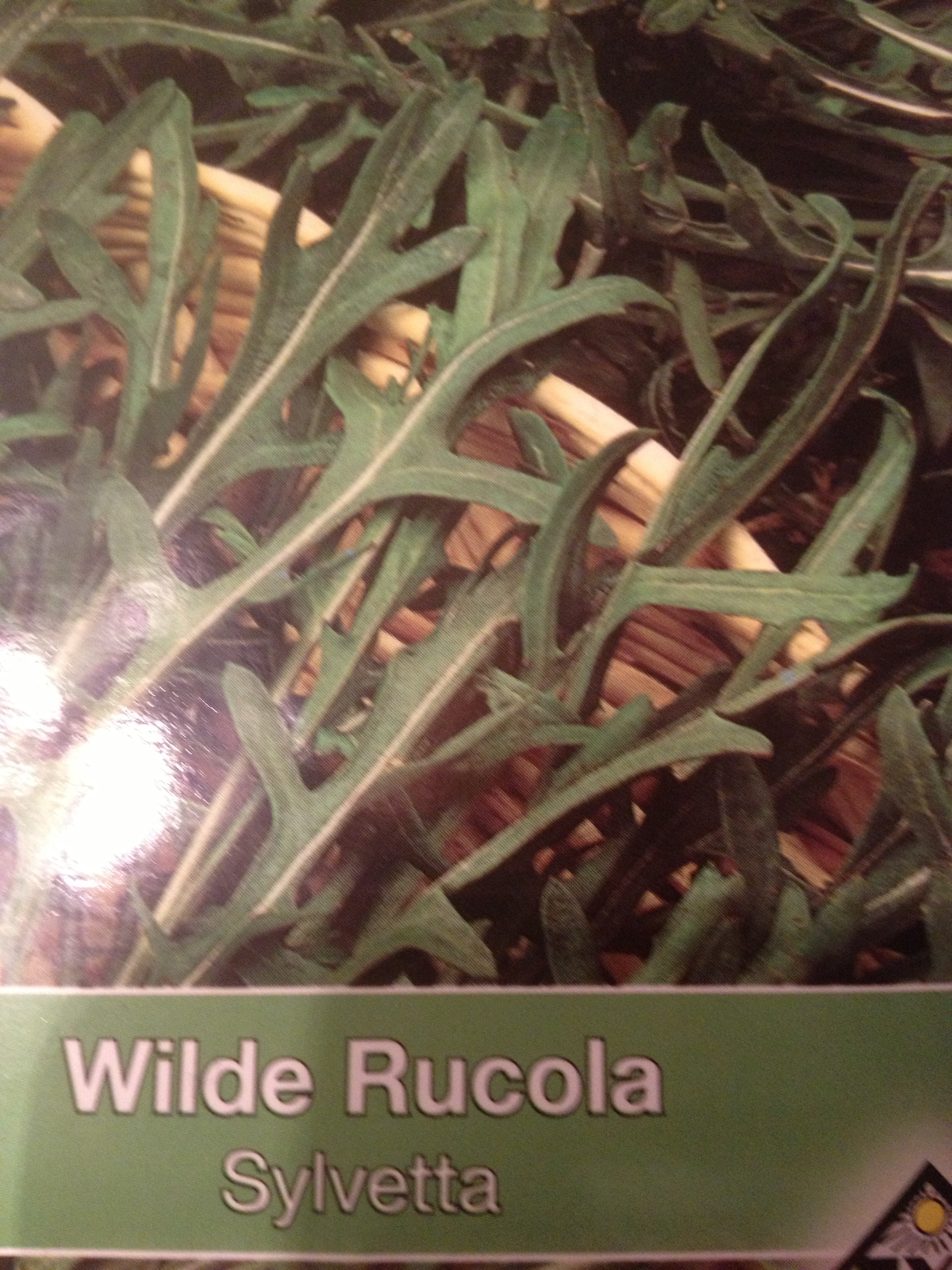 rucola wilde